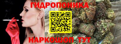 молекула духа Шебекино