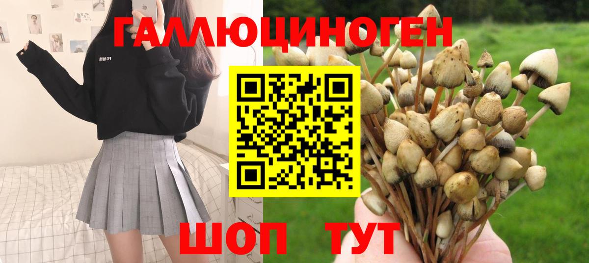 Псилоцибиновые грибы прущие грибы  Вход с VPN  купить наркотики сайты  Кизляр 