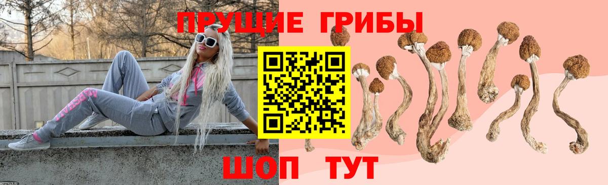 Псилоцибиновые грибы мухоморы Кизляр
